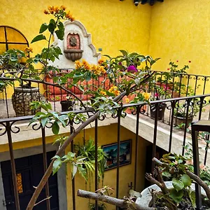 Hostel Maison Bougainvillea, Antigua