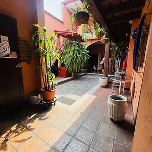  Hotel Chilero Y Cafe