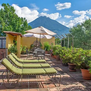 Hotel Camelias By Ahs, Antigua